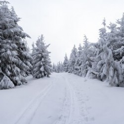 Wielka Brytania zmaga się ze śnieżycami, najniższa temperatura od 2010 roku