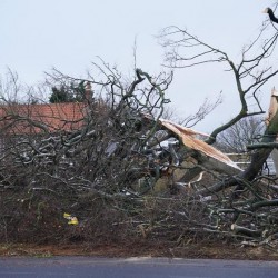 Tydzień po burzy śnieżnej w tysiącach domów nadal nie ma prądu