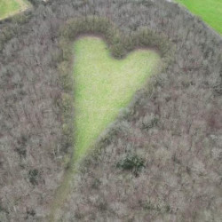 Łąka w kształcie serca wśród tysięcy dębów. Hołd dla zmarłej żony