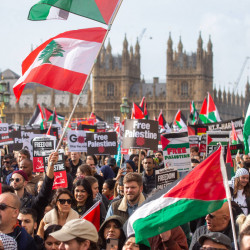 Dziewięć osób aresztowano w czasie propalestyńskiej manifestacji w Londynie