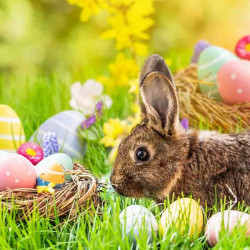 Happy Easter to You!