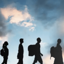 Migracja netto spadła o prawie 50 proc.