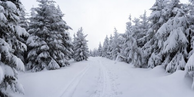 Wielka Brytania zmaga się ze śnieżycami, najniższa temperatura od 2010 roku