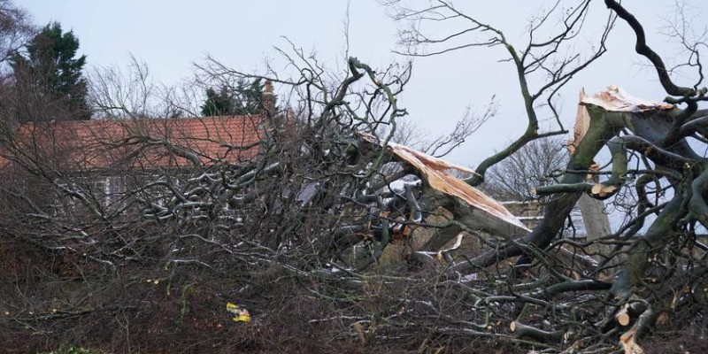 Tydzień po burzy śnieżnej w tysiącach domów nadal nie ma prądu