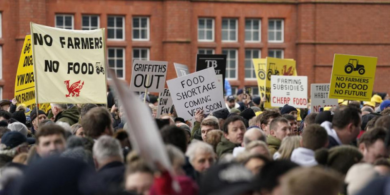 Protestujący rolnicy ustawili 5500 kaloszy przed parlamentem Walii