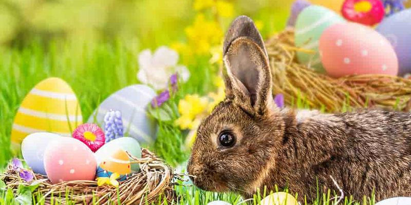 Happy Easter to You!