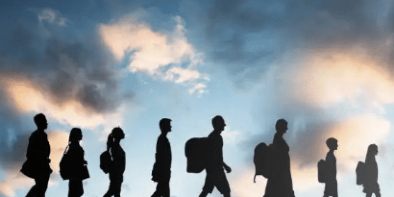 Migracja netto spadła o prawie 50 proc.